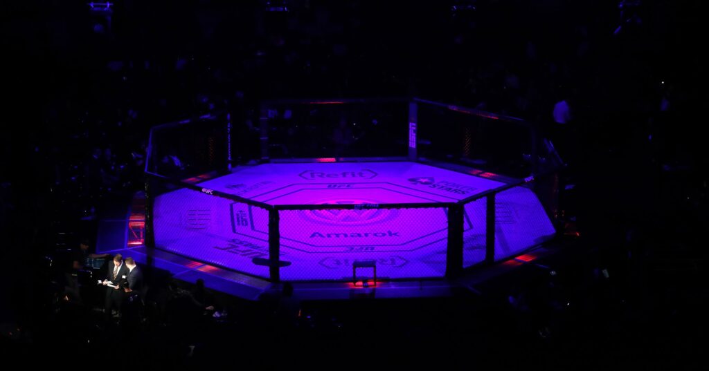 UFC 273 pristatymas
