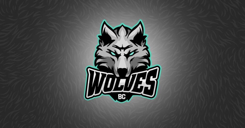 BC Wolves krepšinio klubas Lietuvoje Žiemelis Kaukėnas statymai 7bet lažybos LKL