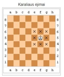šachmatų taisyklės karaliaus ėjimai