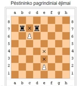 šachmatų taisyklės pėstininko pagrindiniai ėjimai
