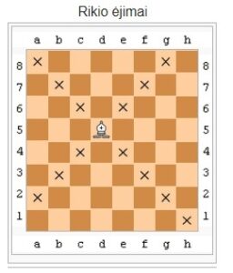šachmatų taisyklės rikio ėjimai