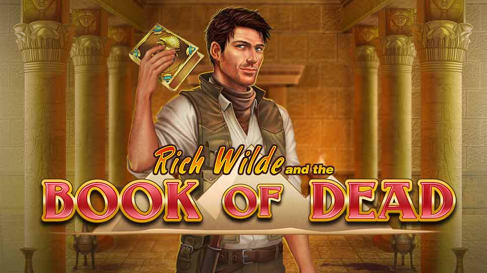 Book of Dead Big Wins